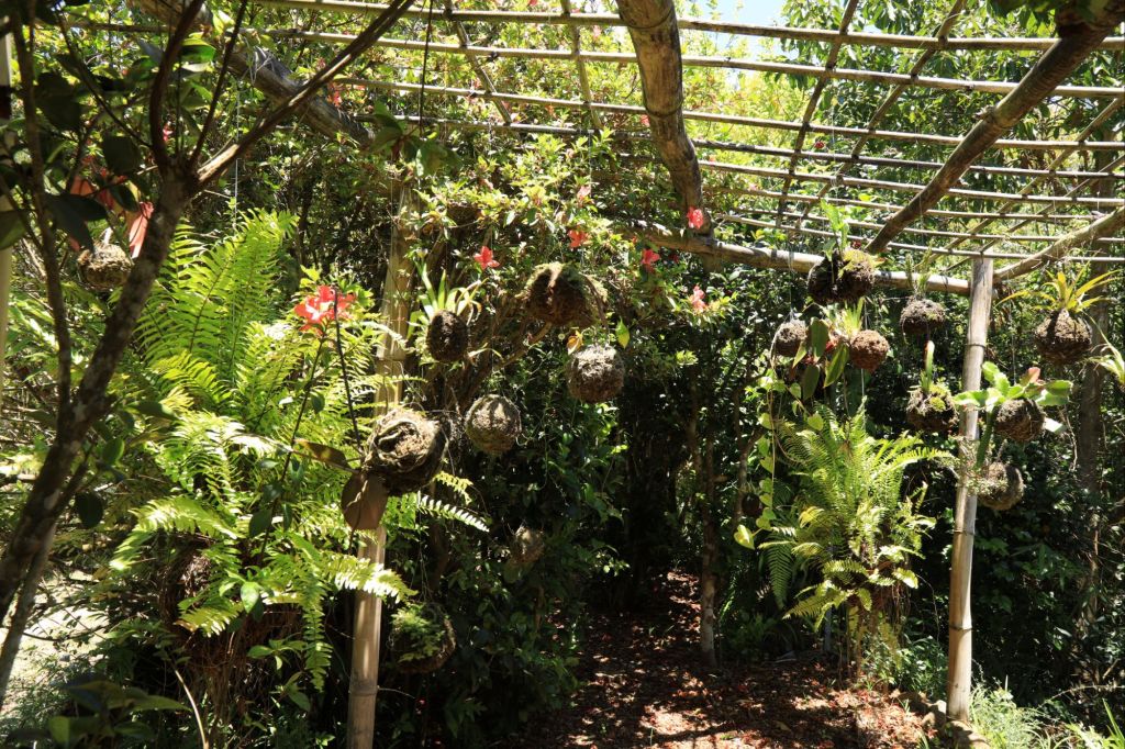 Ma démarche artistique