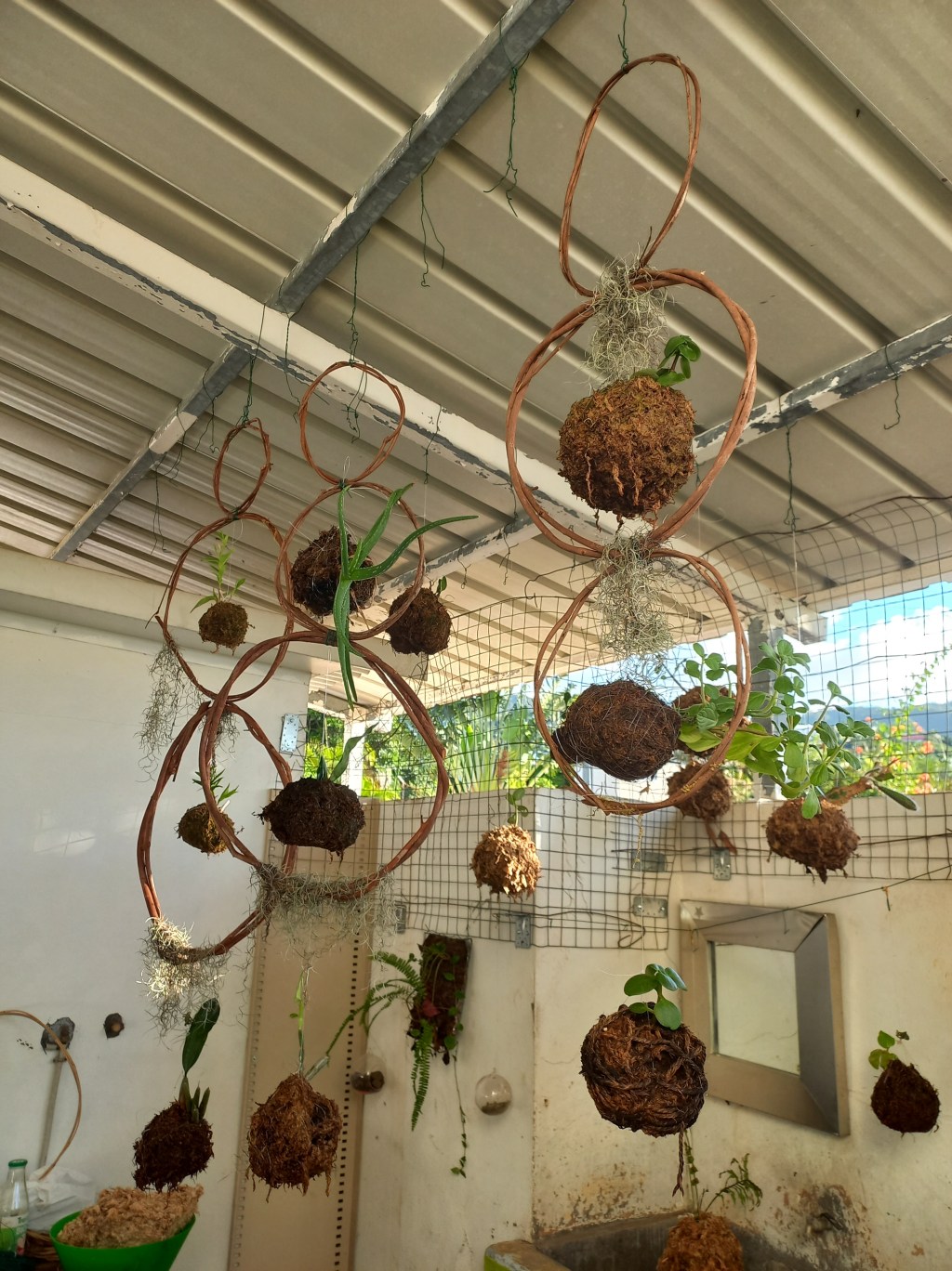 Les rêveries suspendus de LERKA