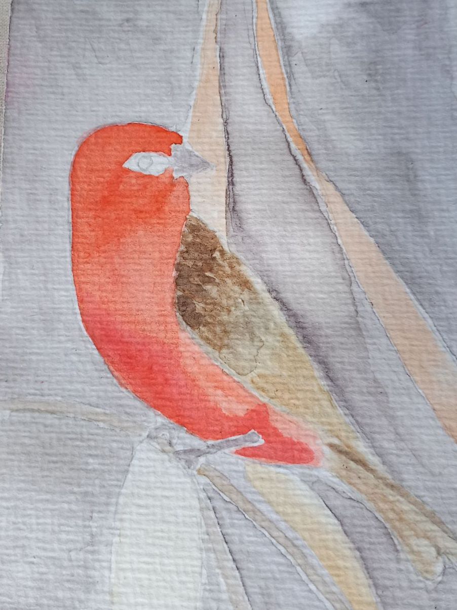 Les zoizos endémiques de la Réunion