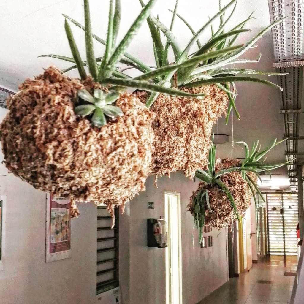 Les bulles enchantées du CMPP